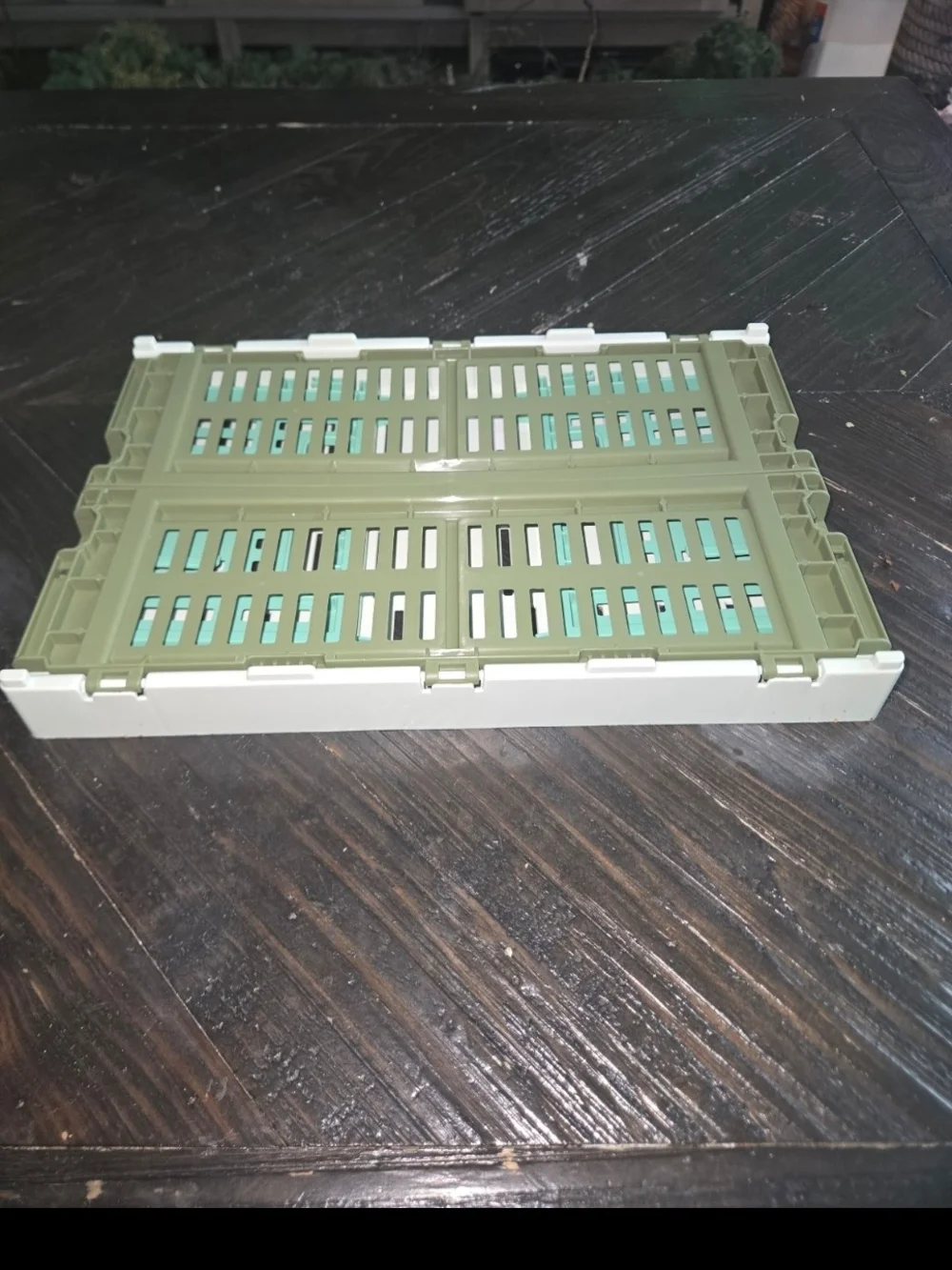 Stackable Olive & Mint Plastic Storage Crates with White Frames